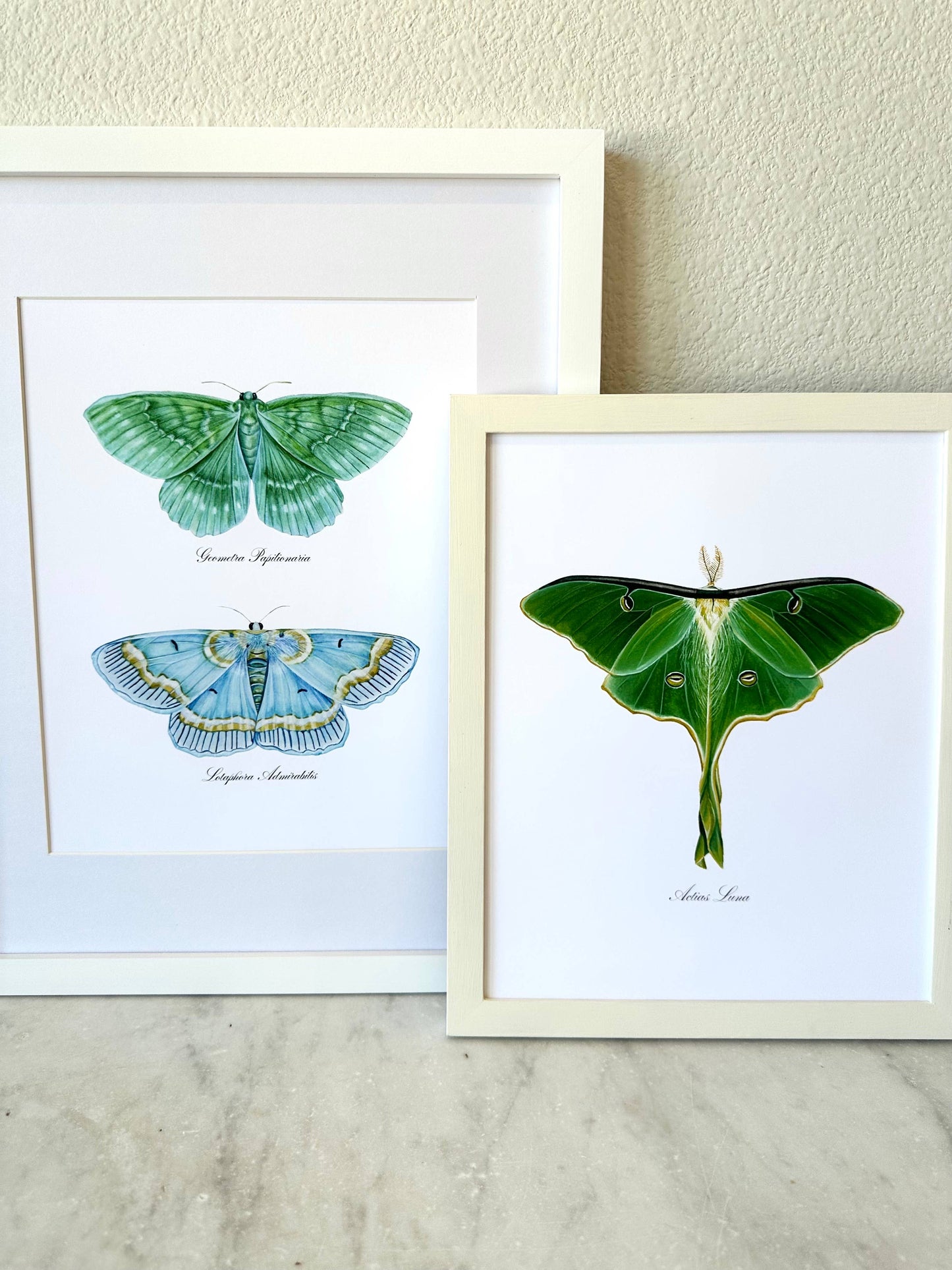 Blue + Emerald Moths Modern Watercolor Art Print Nature Art