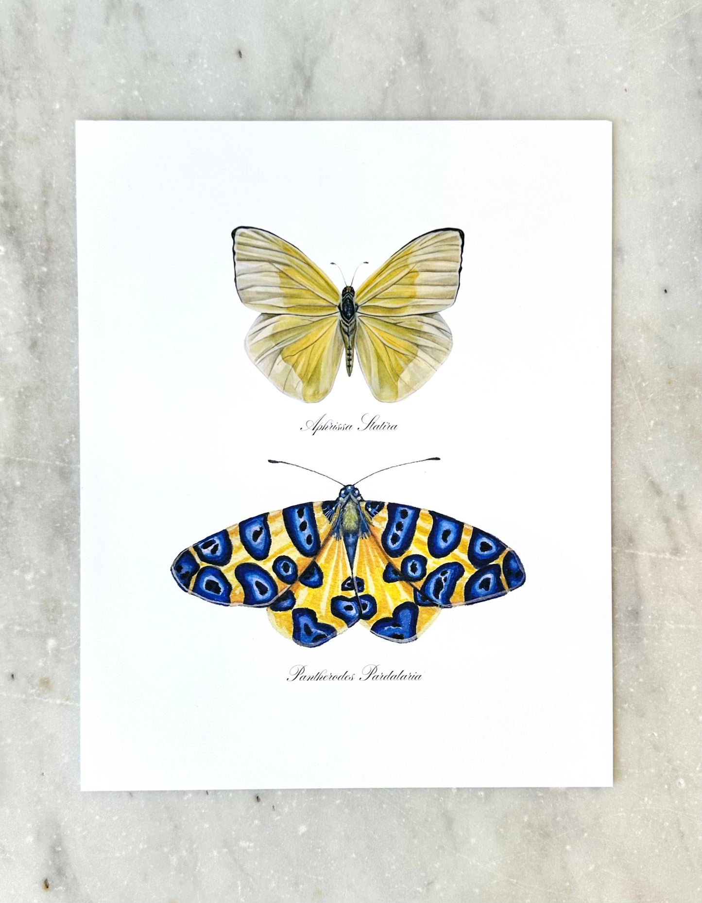Blue Yellow Butterfly Art Colorful Nature Wall Art Modern