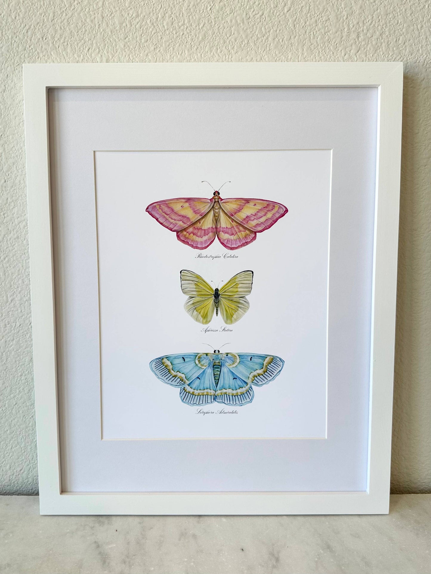 Butterfly Trio 2 Watercolor Art Print Nursery Wall Art 