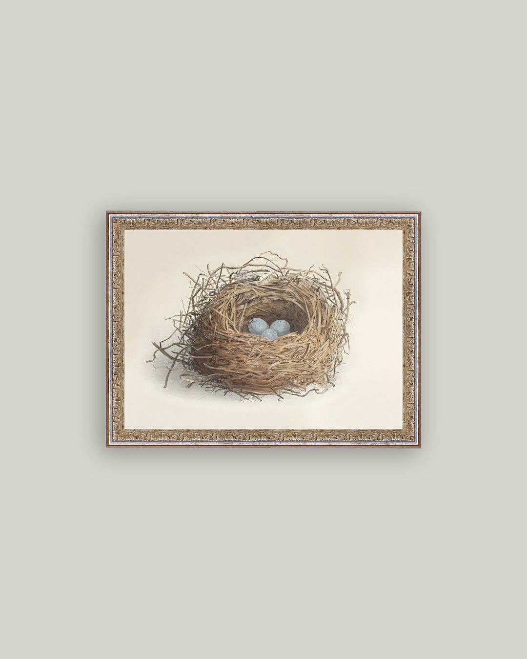 Blue Eggs in a Nest Framed Antique Art