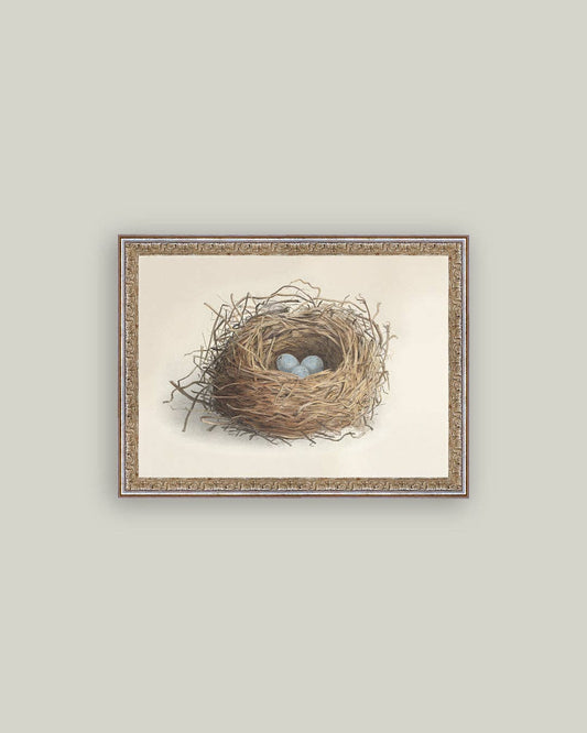Blue Eggs in a Nest Framed Antique Art