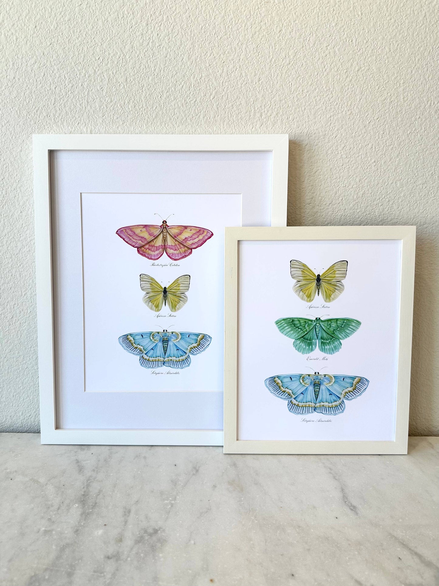 Butterfly Trio 2 Watercolor Art Print Nursery Wall Art 