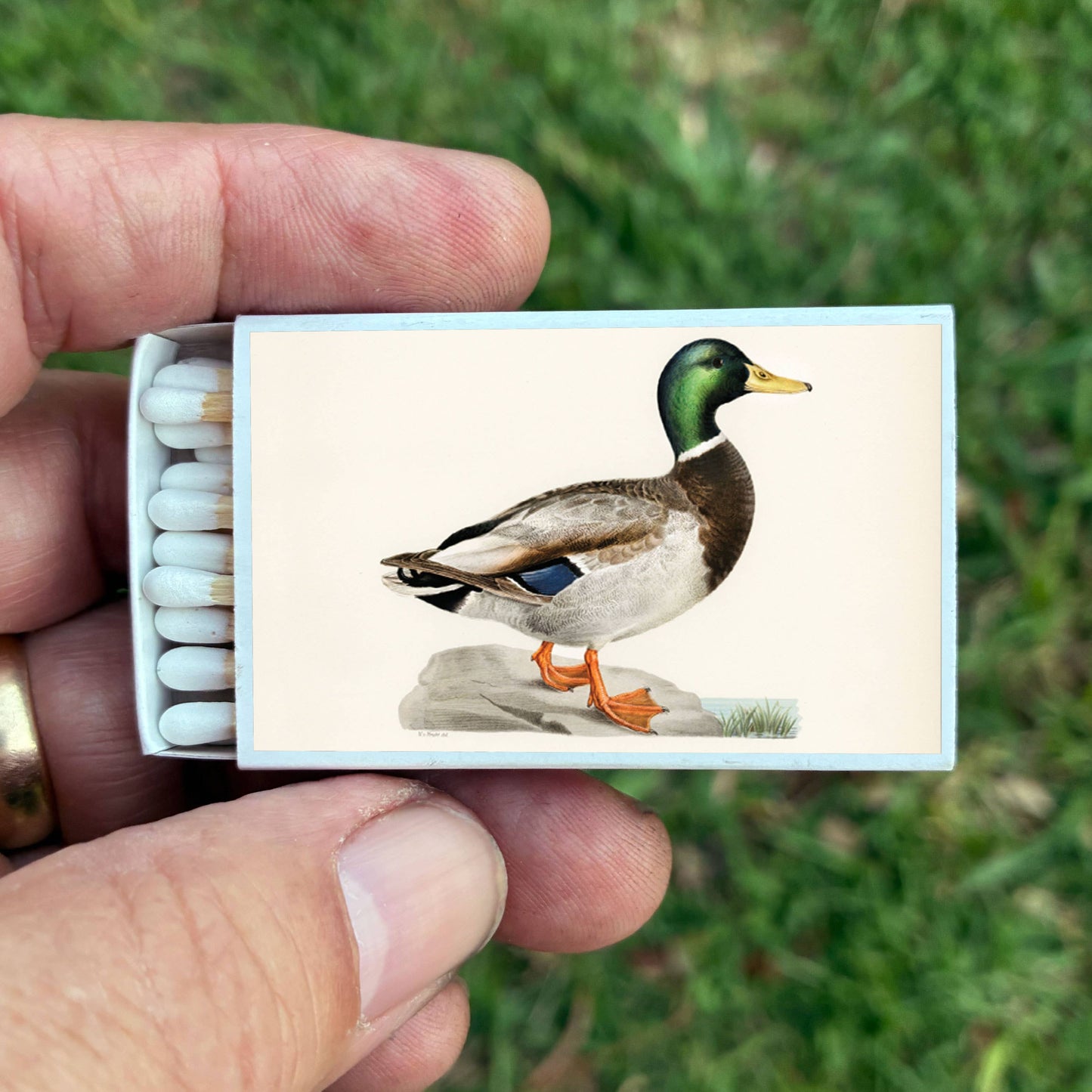 Matches • Mallard Duck • Home Decor for Candles and Incense
