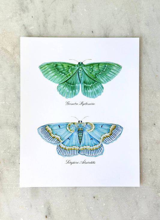 Blue + Emerald Moths Modern Watercolor Art Print Nature Art