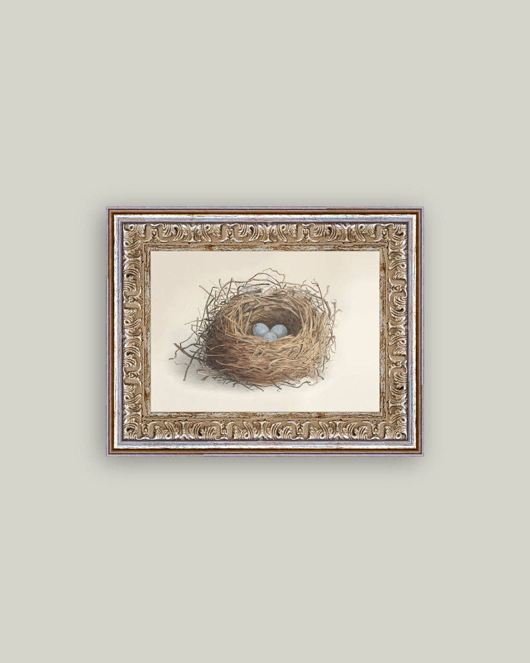 Blue Eggs in a Nest Framed Antique Art