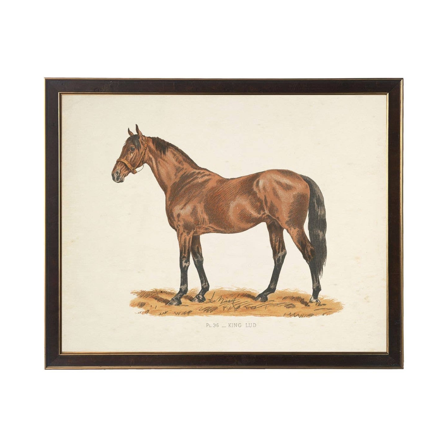 Vintage race horse bookplate C on distressed background