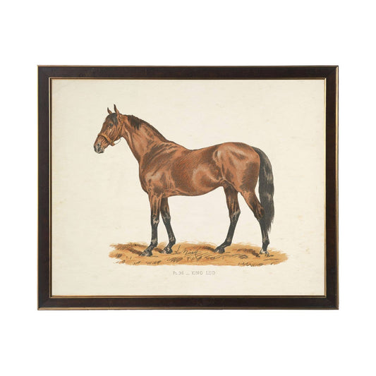 Vintage race horse bookplate C on distressed background