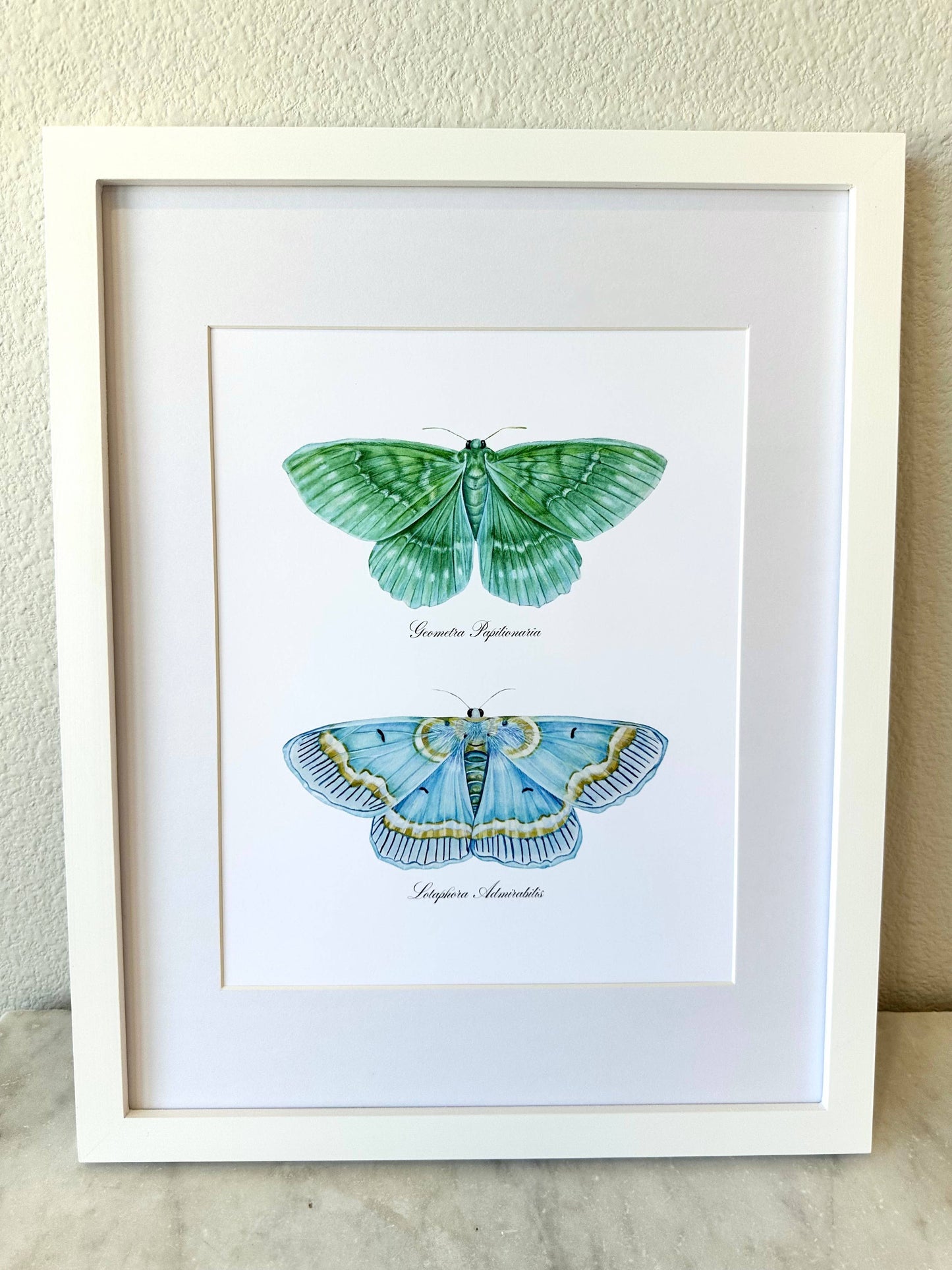 Blue + Emerald Moths Modern Watercolor Art Print Nature Art