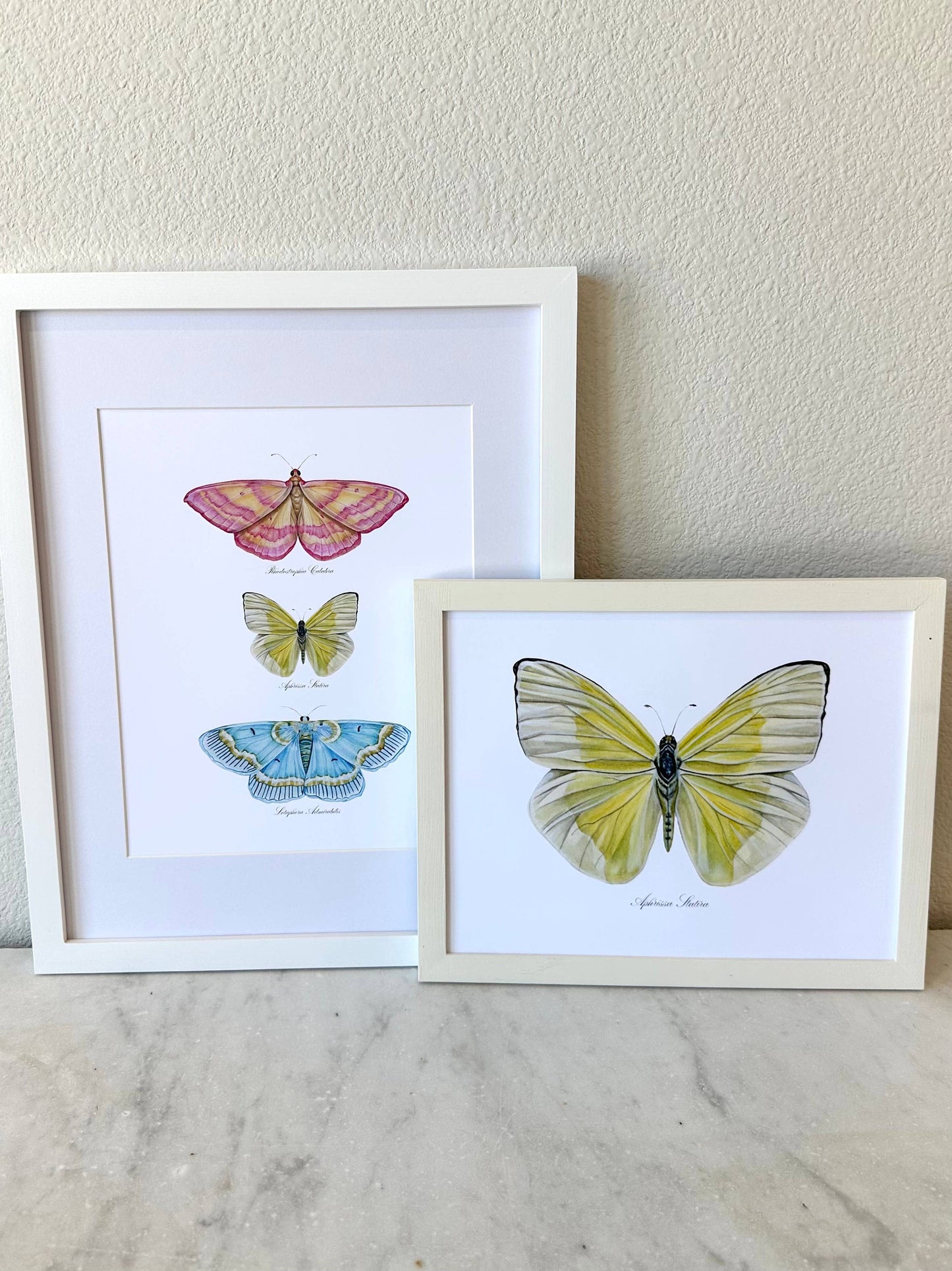 Butterfly Trio 2 Watercolor Art Print Nursery Wall Art 