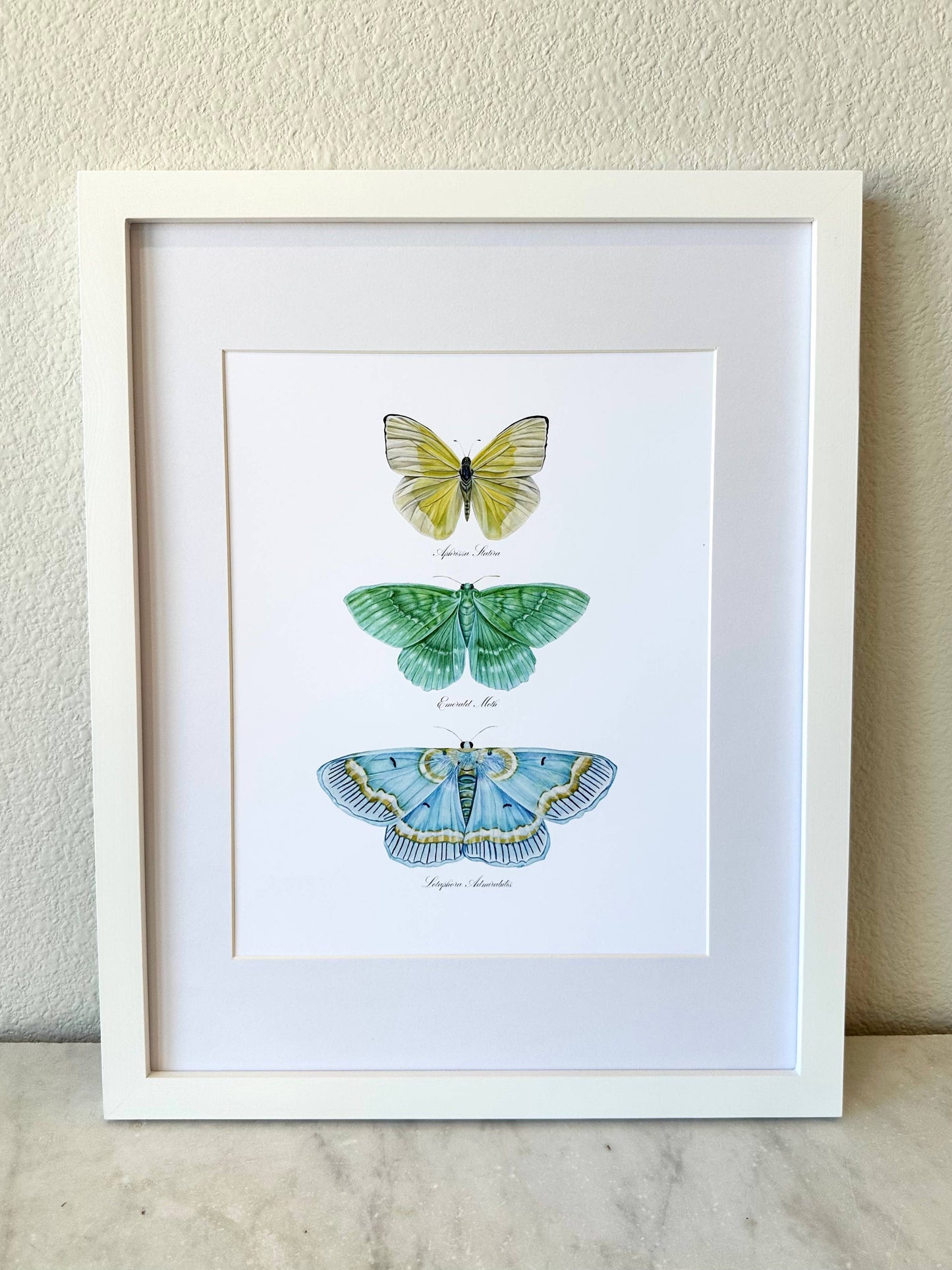 Butterfly Trio 1 Modern Watercolor Art Print Nursery  Art