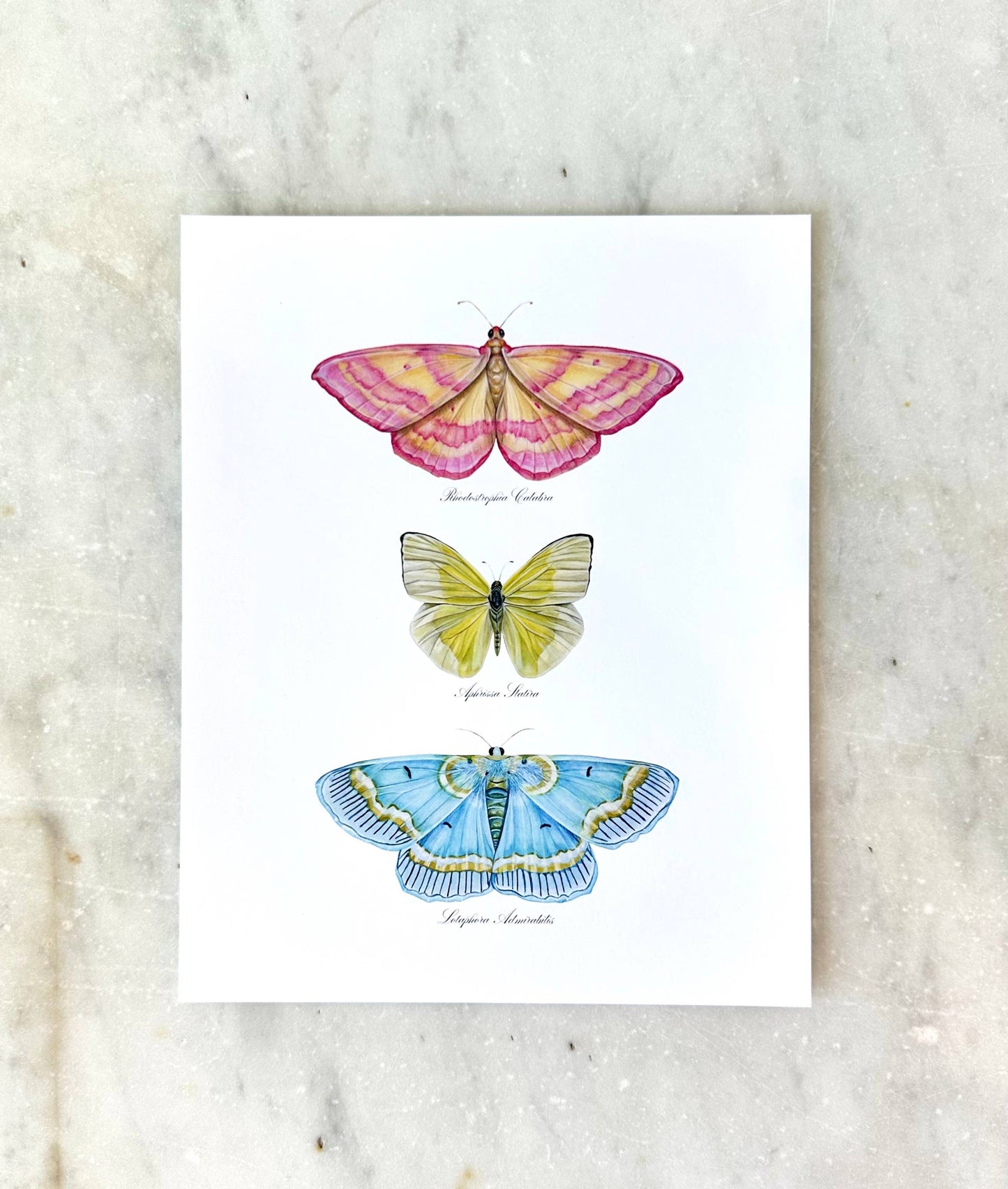 Butterfly Trio 2 Watercolor Art Print Nursery Wall Art 
