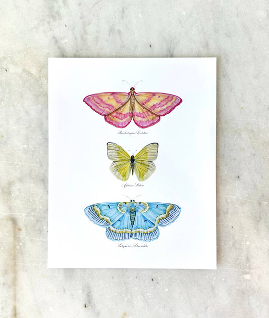 Butterfly Trio 2 Watercolor Art Print Nursery Wall Art 