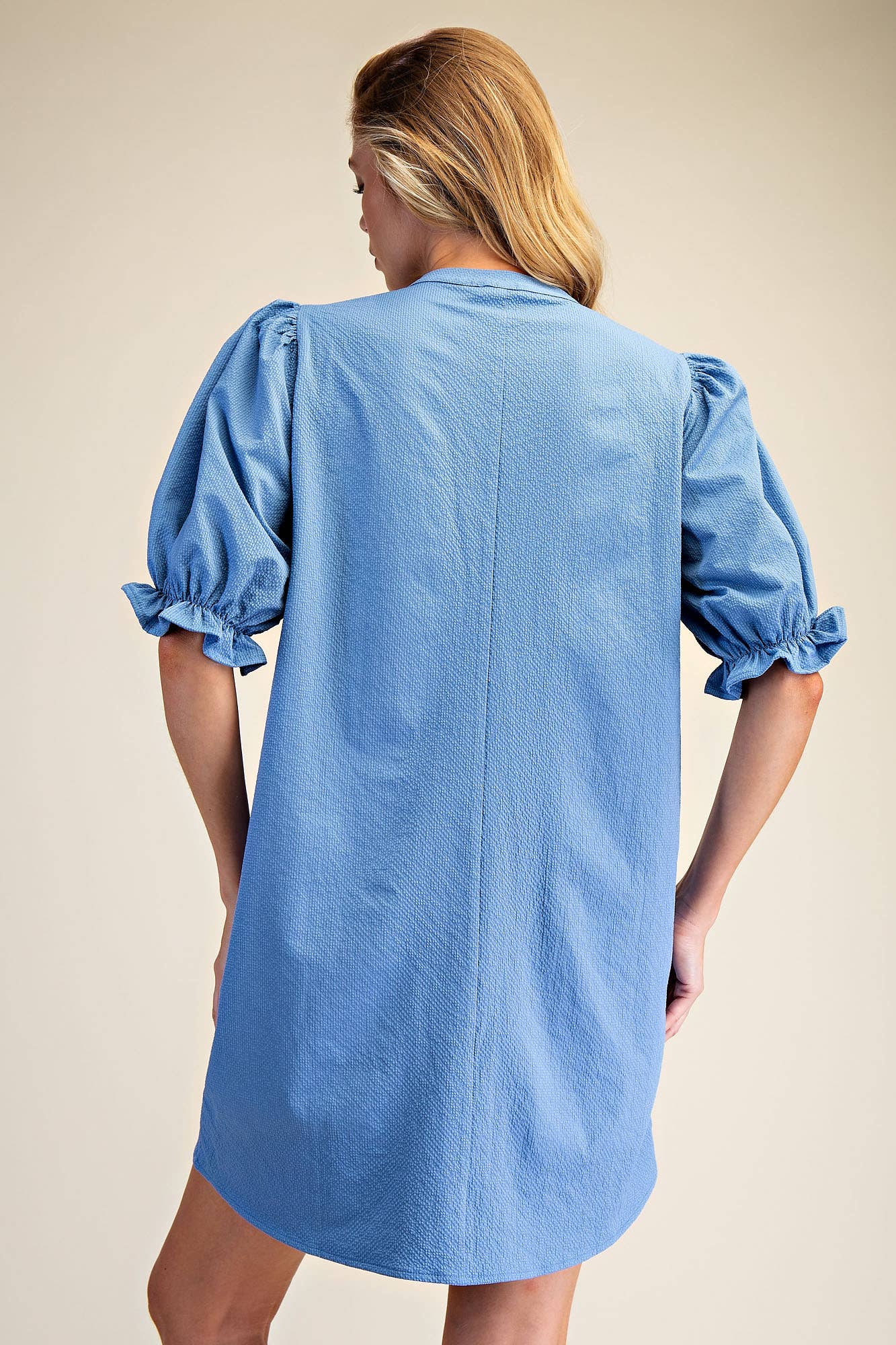 Puff Sleeve Mini Dress
