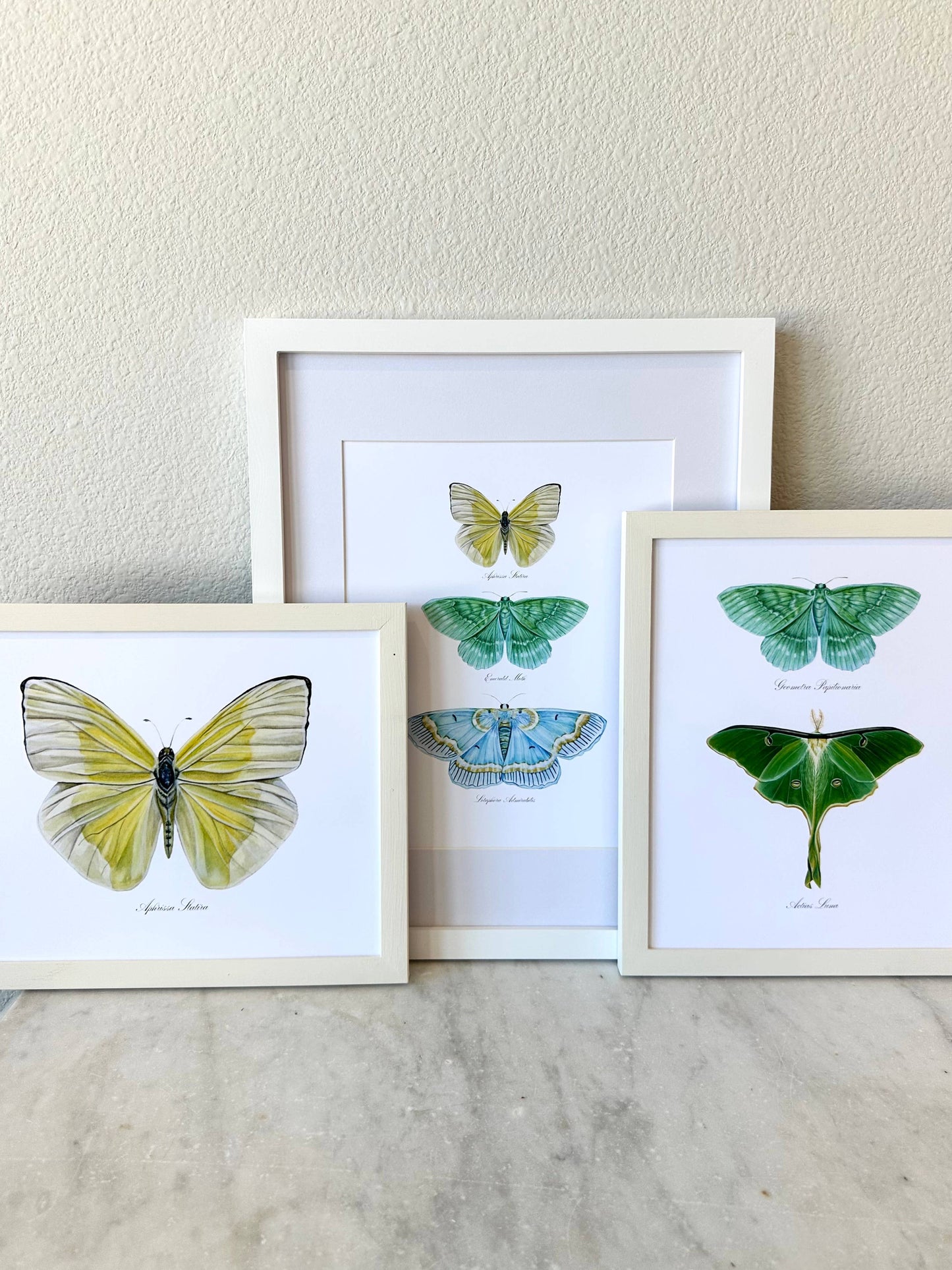 Butterfly Trio 1 Modern Watercolor Art Print Nursery  Art