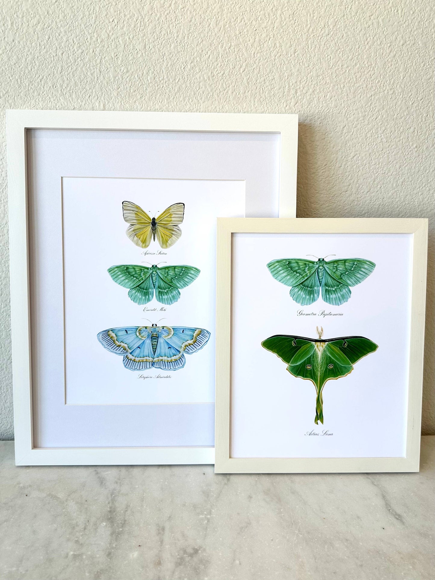 Butterfly Trio 1 Modern Watercolor Art Print Nursery  Art