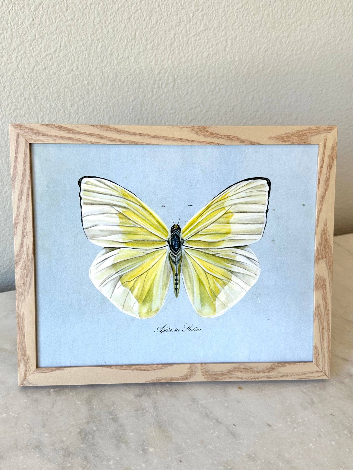 Yellow Butterfly on Blue Print