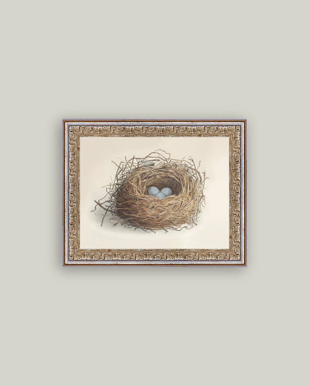Blue Eggs in a Nest Framed Antique Art
