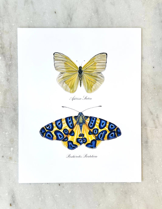 Blue Yellow Butterfly Art Colorful Nature Wall Art Modern