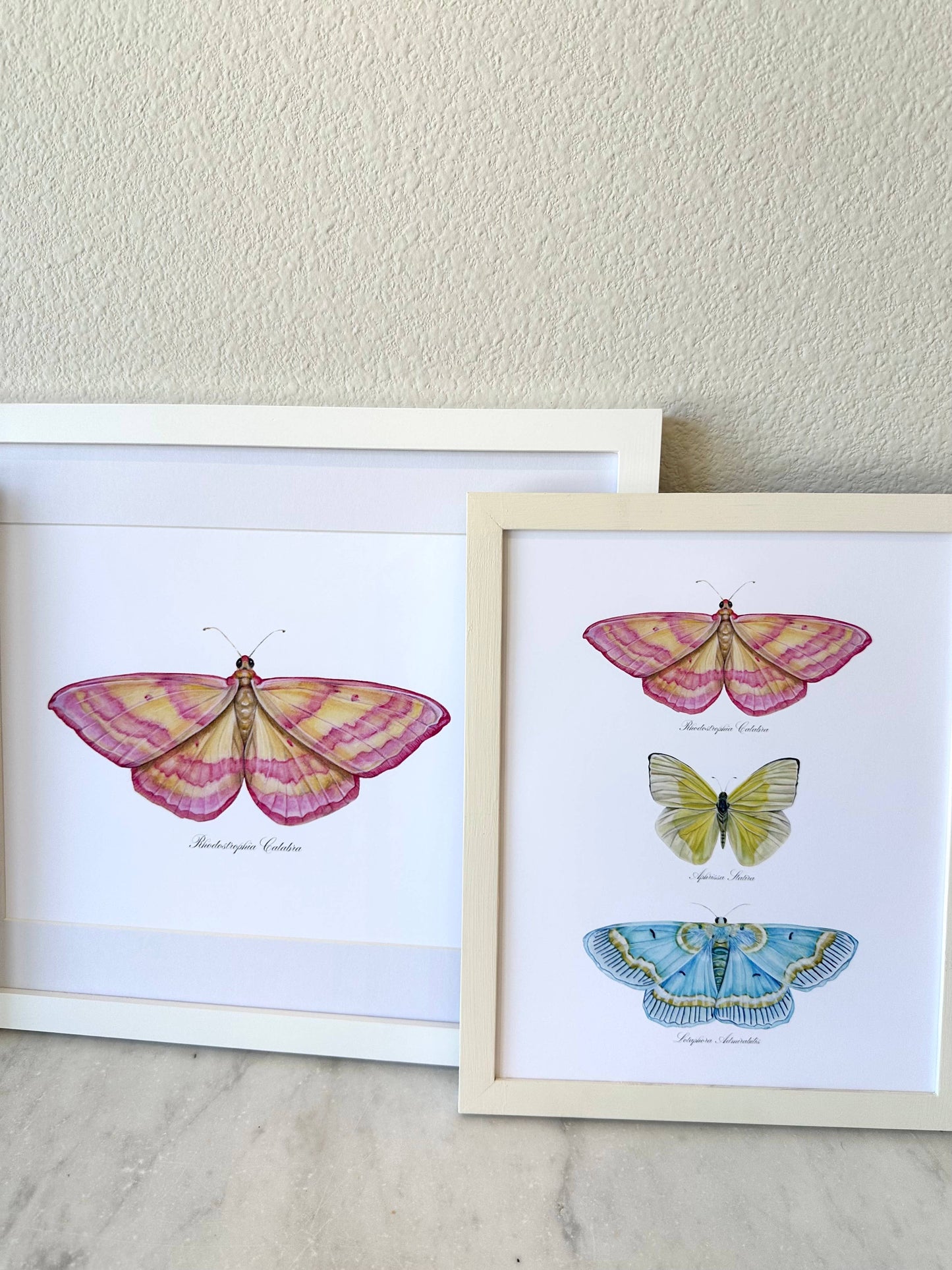 Butterfly Trio 2 Watercolor Art Print Nursery Wall Art 
