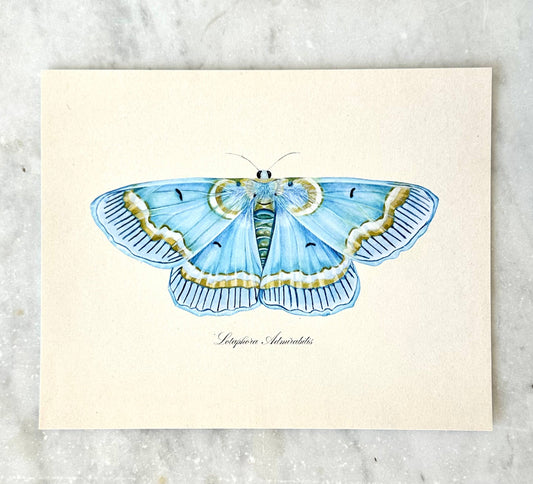 Blue Moth Vintage Watercolor Art Print Nursery Wall Art