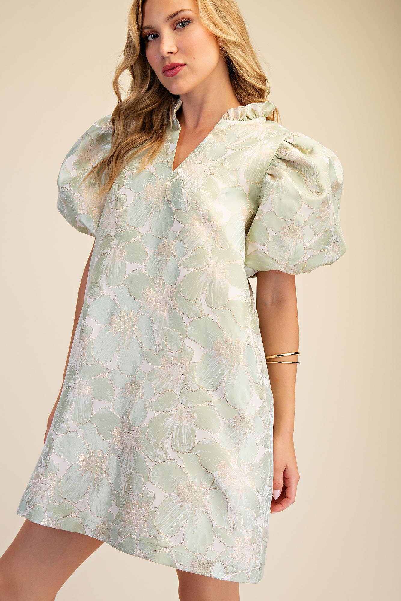 Ruffle V-Neck Puff Sleeve Mini Dress