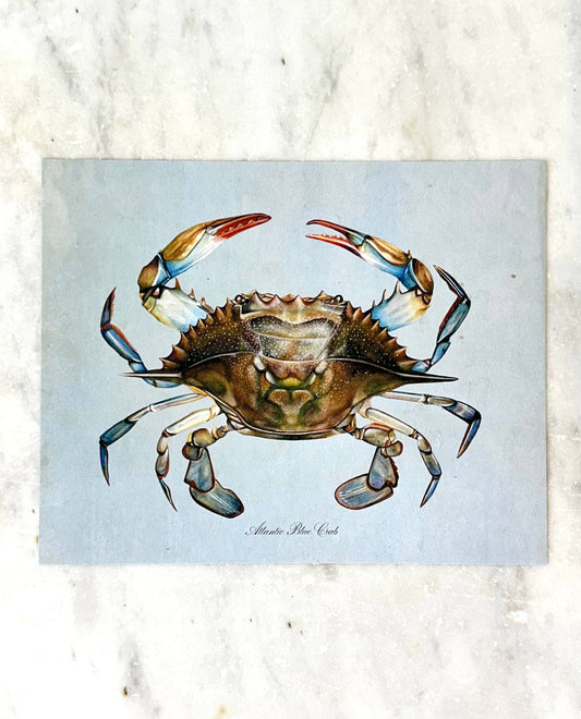 Blue Crab on Blue Print