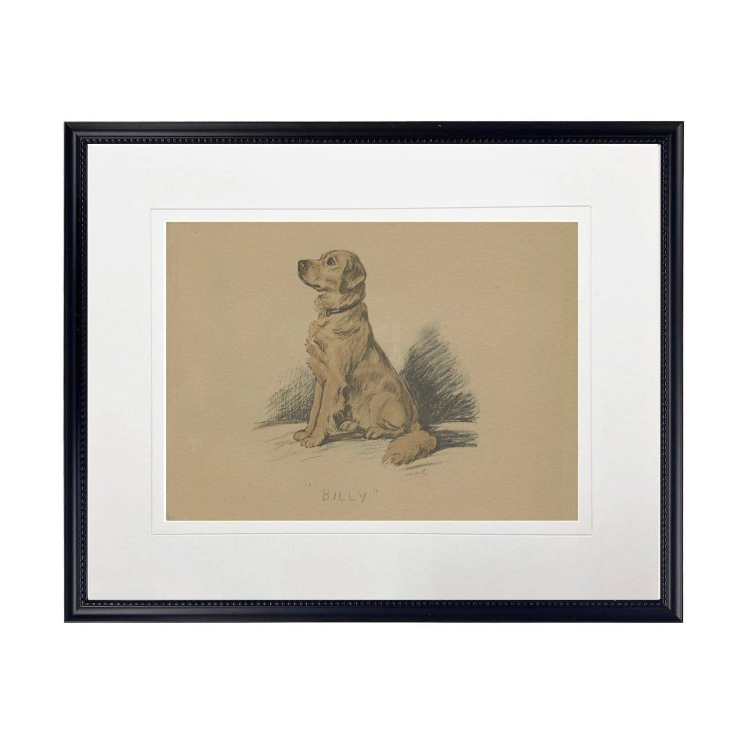 Dog sketch O on brown background