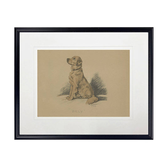 Dog sketch O on brown background