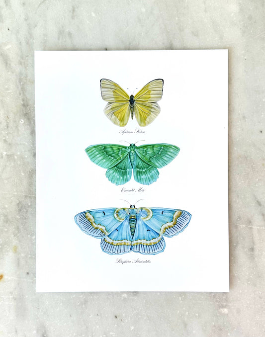 Butterfly Trio 1 Modern Watercolor Art Print Nursery  Art